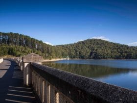 Maroondah Reservoir Park
