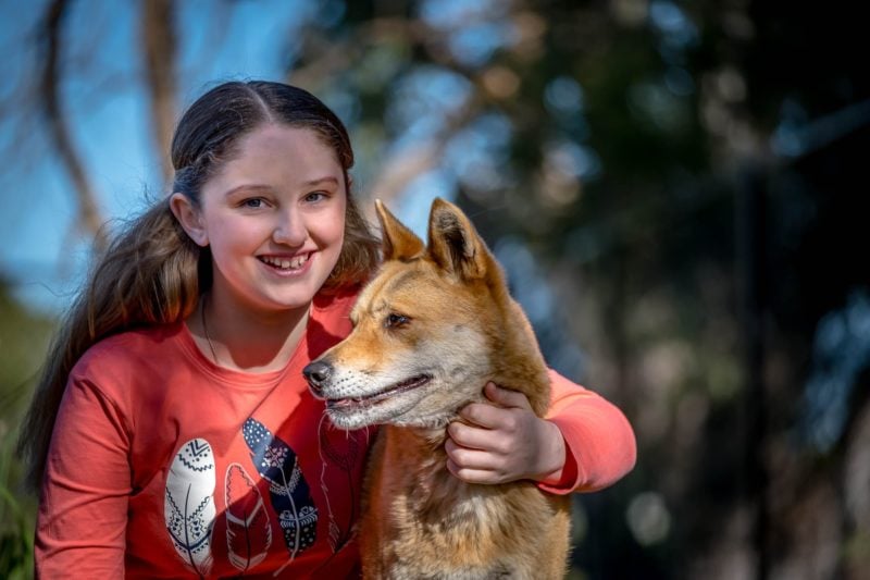 Child with dingo
