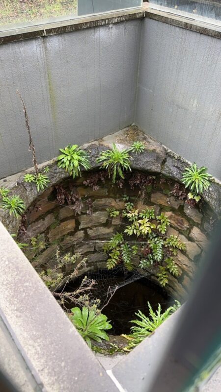 Mary MacKillop Stone Well - Quest Apartments