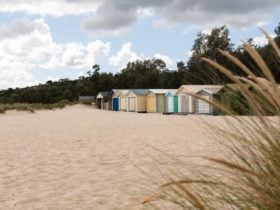 Mc Crae Beach Boxes