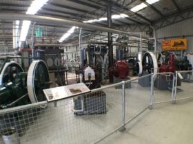 Some of the single cylinder oil engines on display
