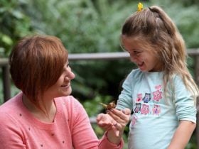 Butterfly House