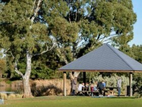 Picnic Shelter