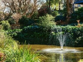 Fountain in Pond