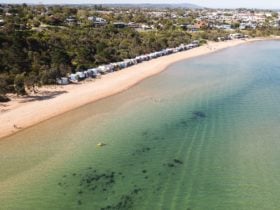 Drone Shot of Mills Beach