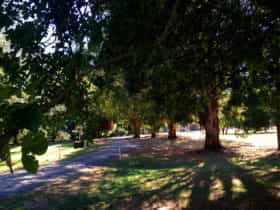 Mirimbah Park