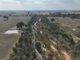 Aerial view of the Mokoan Discovery Trail