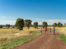 Winton Wetlands