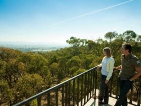 Monument Hill Reserve