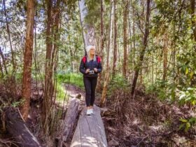Girl at Mount Disappointment Forest