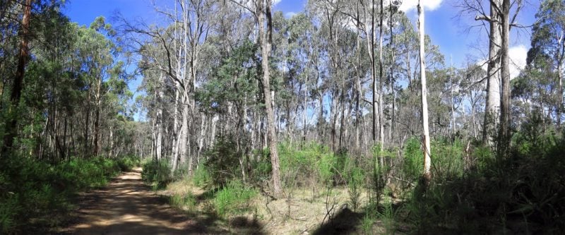 Mount Samaria State Park