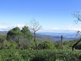 Mount Samaria State Park