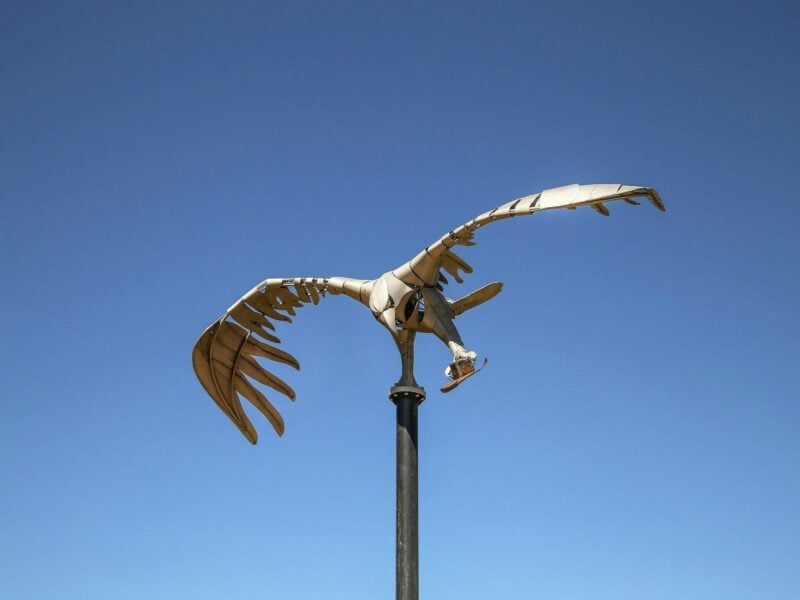 Wedge Tail Eagle metal sculpture - Mt Alfred Gap Lookout, Great River Road