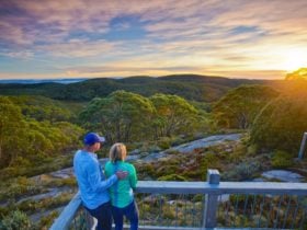 Hiking the Mt Baw Baw Summit Walk in the Baw Baw National Park, Gippsland, Victoria, Australia