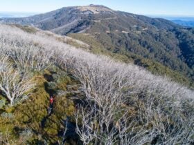 Two MTB riders on the Medusa climb to Corn Hill