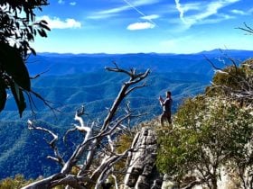 Mt Cobbler