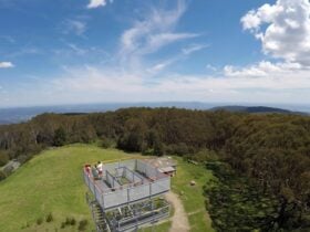Drone Image of Family at Observation Tower