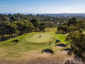Mt Martha Golf Course green