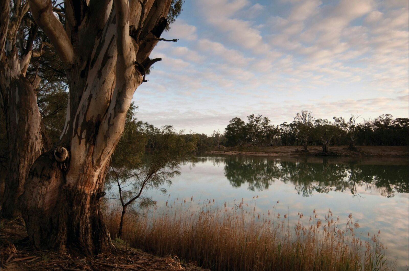 Murray-Kulkyne Regional Park