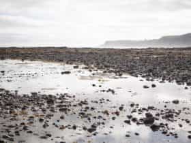 Mushrooom Reef