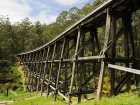 Noojee Trestle Bridge, Noojee, Gippsland, Victoria, Australia