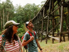 People walking beneath an old wooden trestle bridge in forest