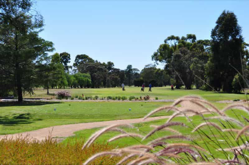 Numurkah Golf Club