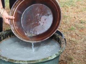 Gold Panning