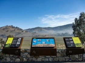 Rich history at your finger tips