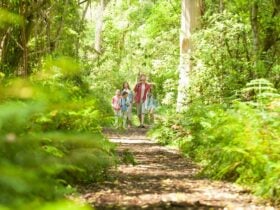 Olinda Creek Walking Track, visityarravalley.com.au