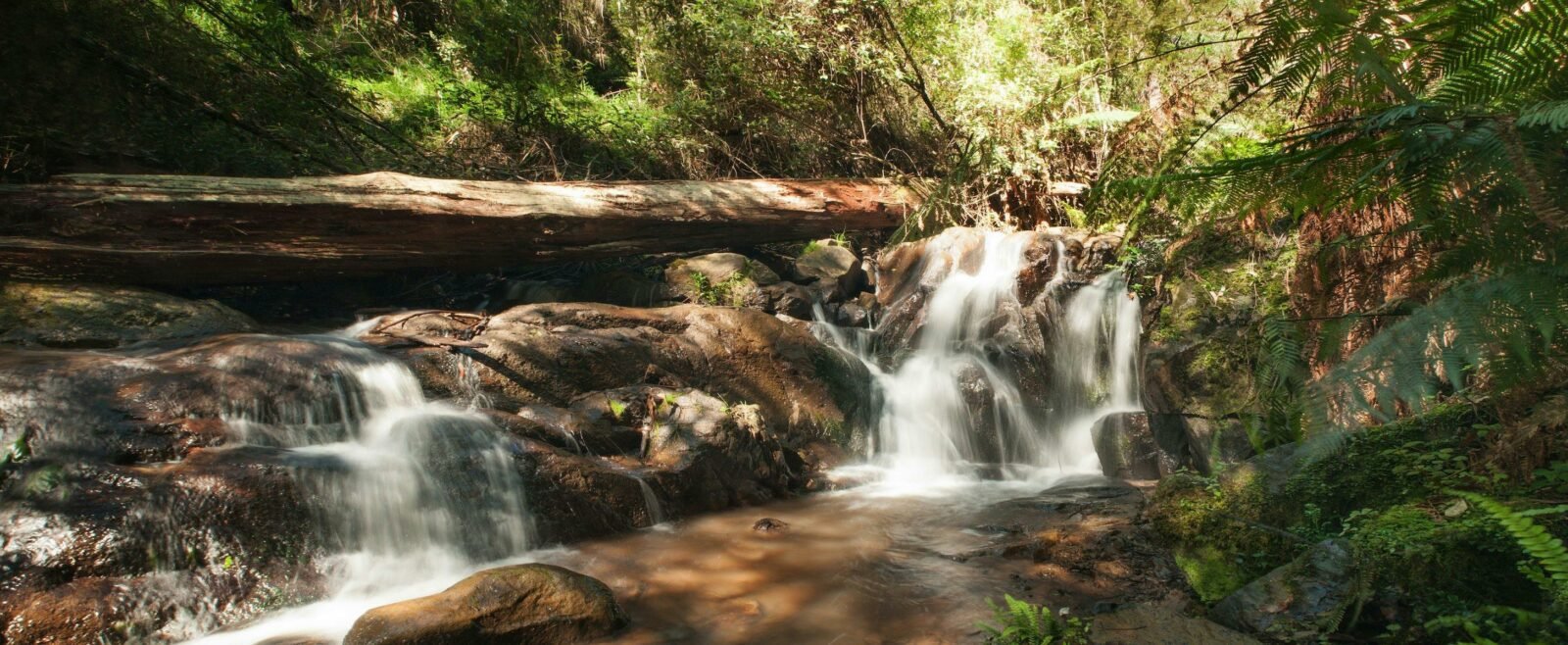 Olinda Falls Circuit, visityarravalley.com.au