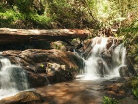Olinda Falls Circuit, visityarravalley.com.au