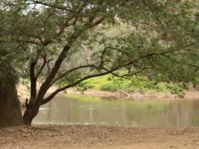Ovens River Junction
