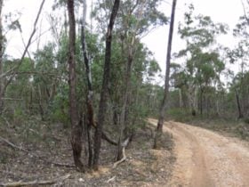 Paddys Ranges State Park
