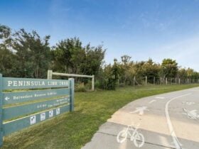 Shared pathway along the trail