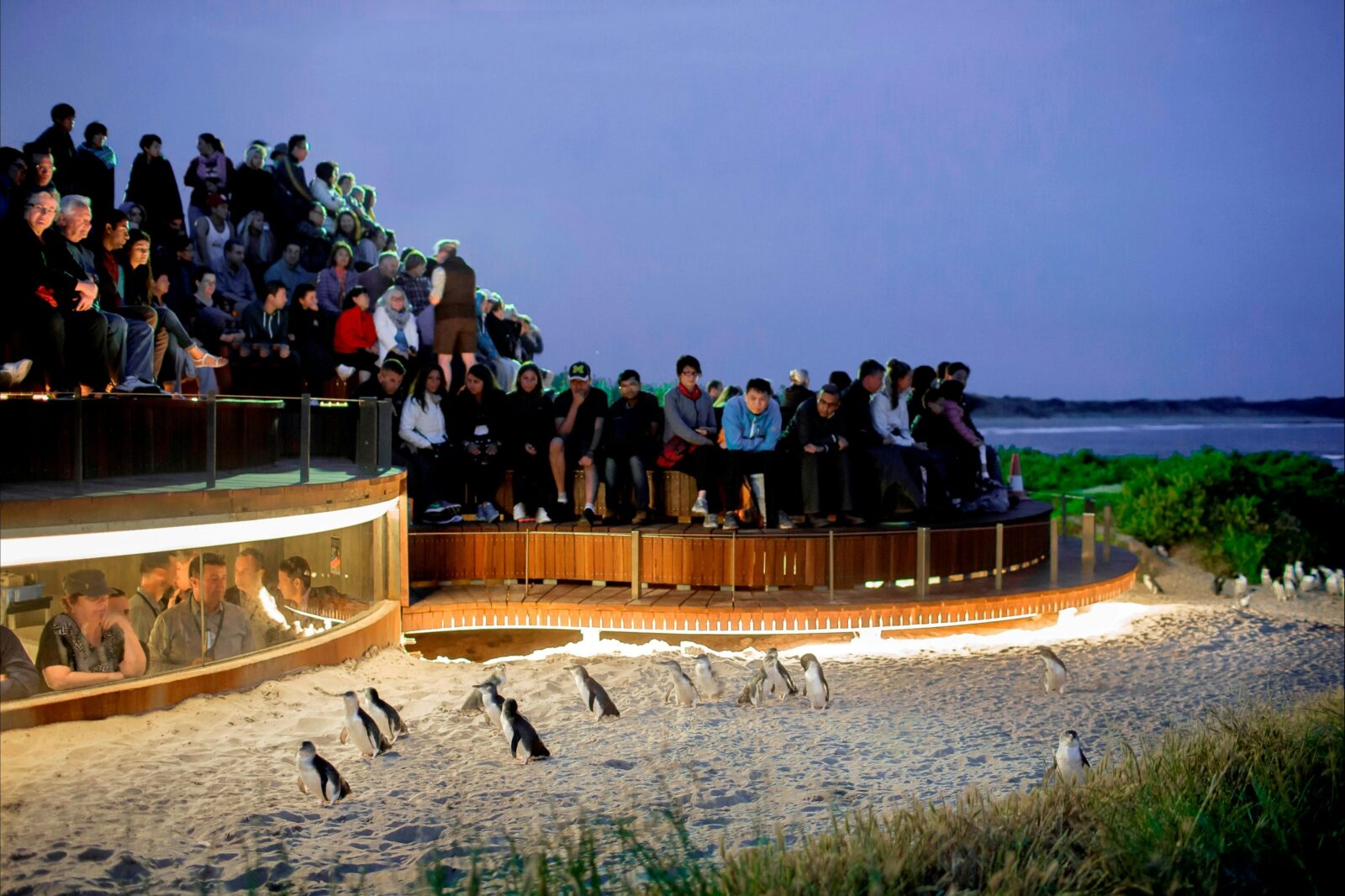 Phillip Island Nature Parks