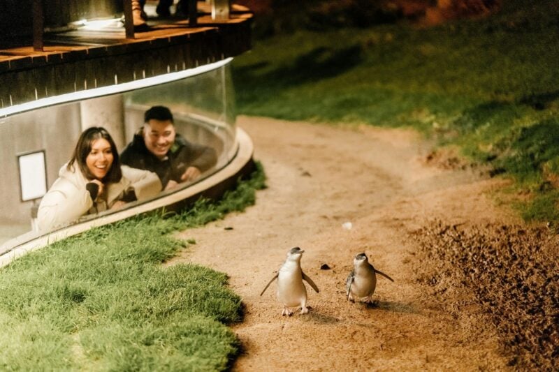 Underground Viewing