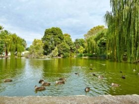 Phillips Botanical Gardens