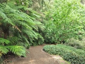 Pirianda Gardens