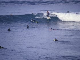 Point Addis Marine National Park