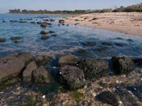 Point Cooke Marine Sanctuary
