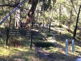 Bush track leading up a hill with signage pointing to locations of interest