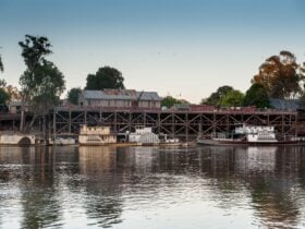 Port of Echuca Discovery Centre, Echuca Wharf, PS Pevensey, PS Adelaide, PS Alexander Arubthnot