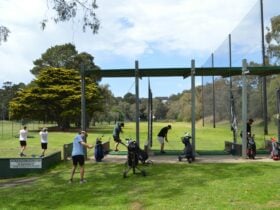 Golfers enjoying the driving range