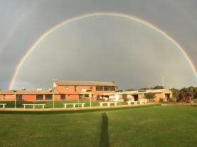 Club rainbow