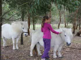 Pony cuddles