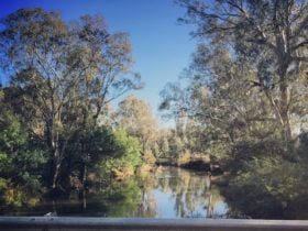 River Road Reserve