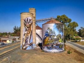 Rochester Silo Art is located on Northern Hwy in the middle of town