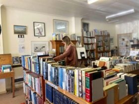 Person browsing books in Shop