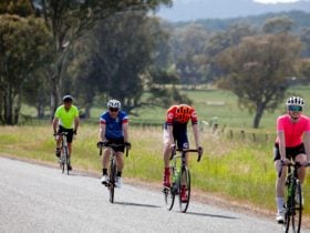 road cycling